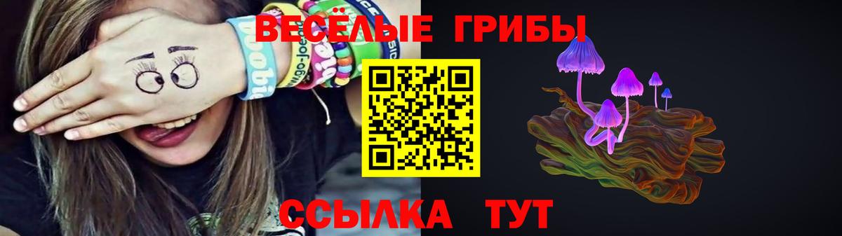 Красноперекопск  Галлюциногенные грибы GOLDEN TEACHER  купить наркотик  Вход с VPN 
